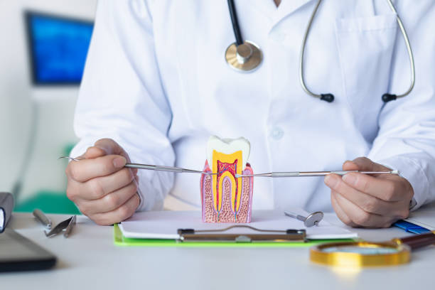 Best Emergency Dentist for Knocked-Out Tooth in Unt Vernon, MO